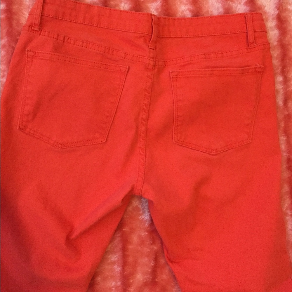 Orange Red Crops - Picture 2 of 5